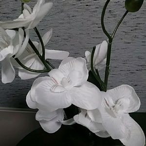 Meet your Posher, Heidy